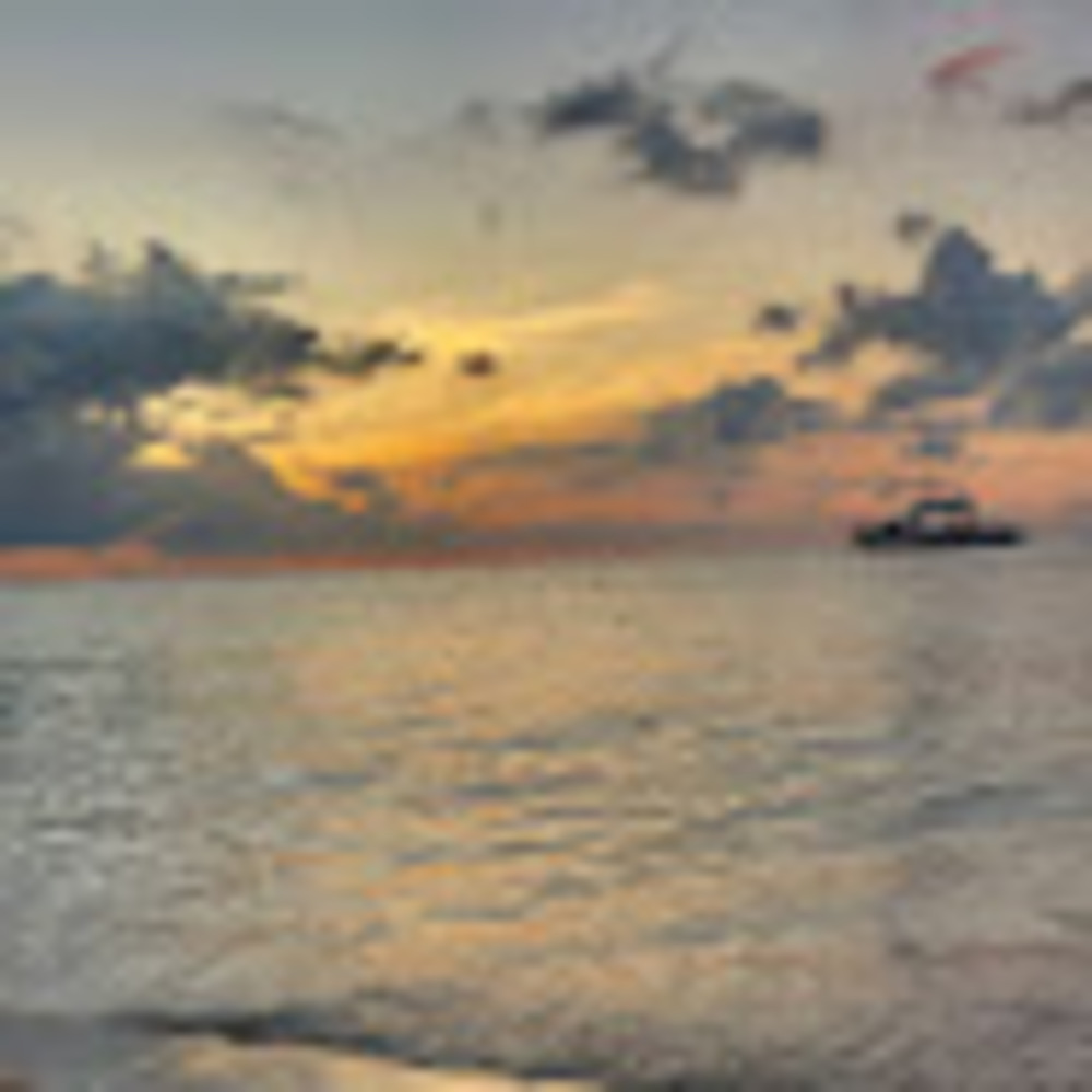 Meet your Posher, Taneila